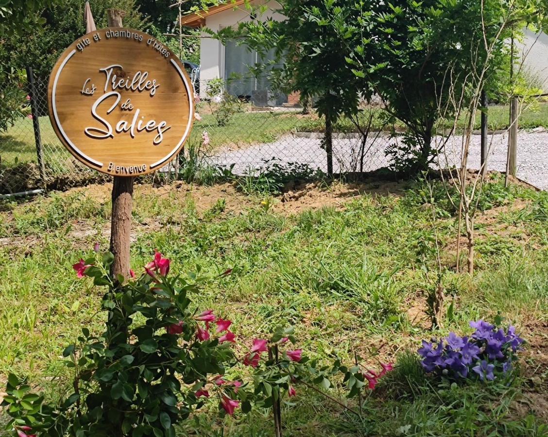 Les Treilles De Salies - Spa Et Sauna Interieur Salies-de-Béarn Exterior foto